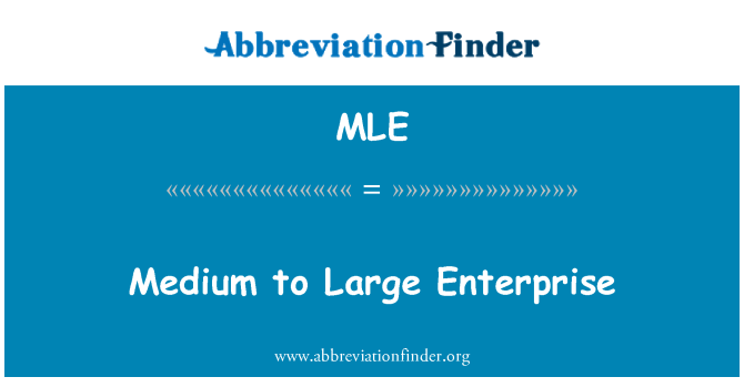 MLE: 中等至大型企業