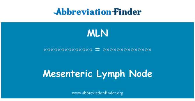 MLN: Gangli limfàtic mesentèrica