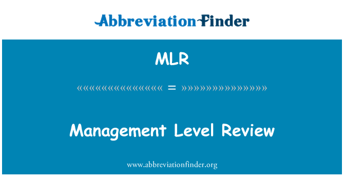 MLR: استعراض مستوى الإدارة