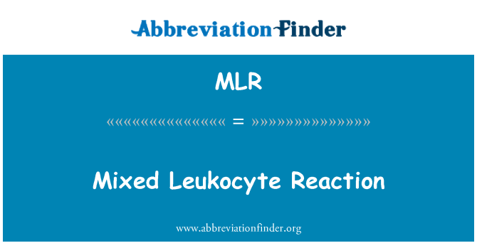 MLR: Mješoviti leukocita Reakcija