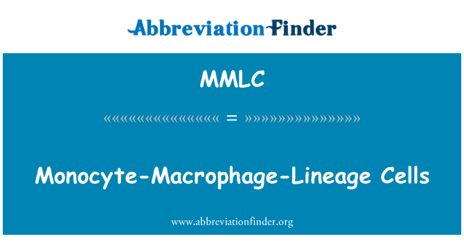 MMLC: Monocyte-makrofagų-Lineage ląstelių