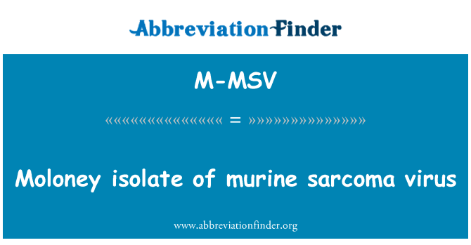 M-MSV: Moloney murine 육 종 바이러스의 분리