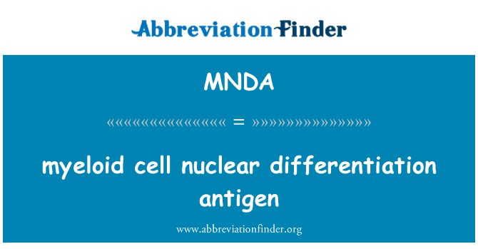 MNDA: antigen de nuclear diferenciació cel·lular mieloide