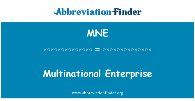 MNE: Enterprise miltinasyonal