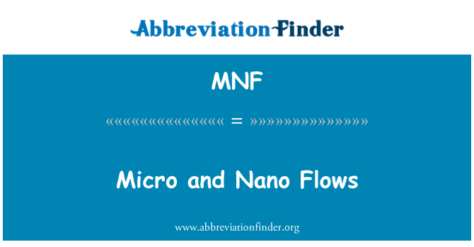 MNF: ไมโครและนาโนขั้นตอน
