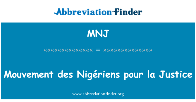 MNJ: Mouvement des Nigériens pour la Justice