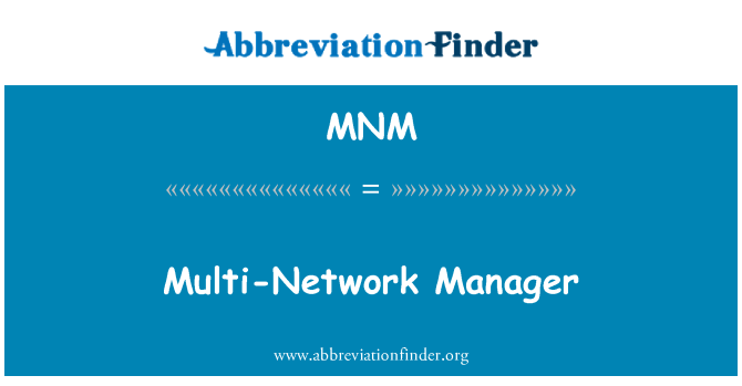 MNM: Multi-Network Manager