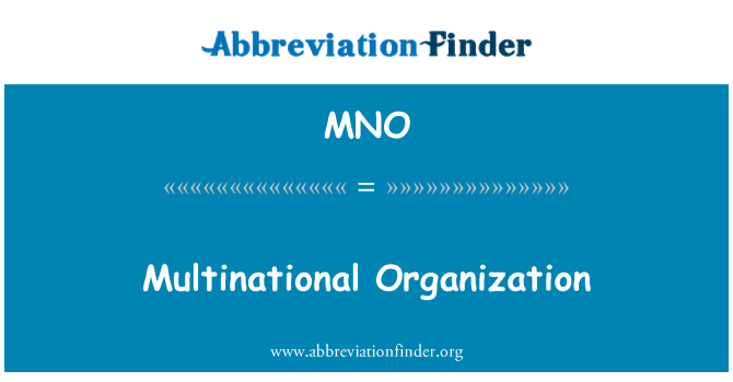 MNO: Multinational Organization