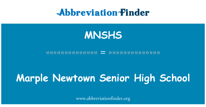 MNSHS: Marple Newtown वरिष्ठ उच्च विद्यालय