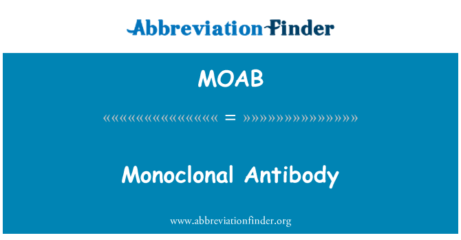MOAB: Anticorps Anticorps