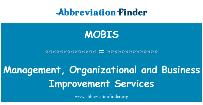 MOBIS: Management, Organizational and Business Improvement Services