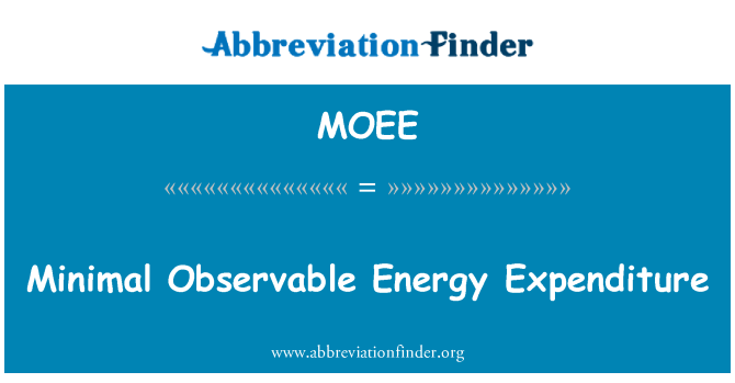 MOEE: Minimal Observable Energy Expenditure