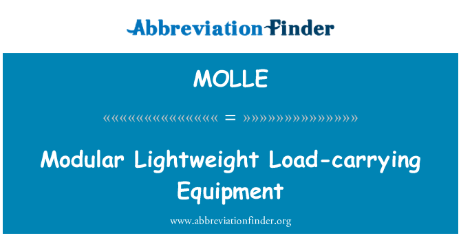MOLLE: โมดูลาร์อุปกรณ์แบกภาระน้ำหนักเบา