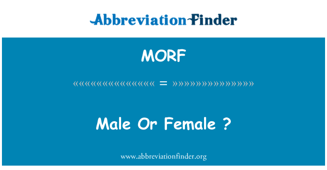 MORF: Gwryw neu fenyw?