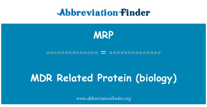MRP: MDR relaterede Protein (biologi)