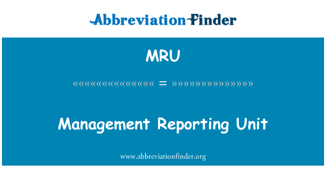 MRU: Juhtimisüksuse aruandlus