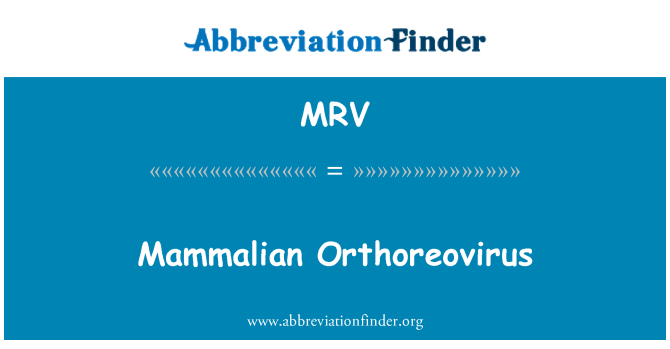 MRV: Sesalcev Orthoreovirus