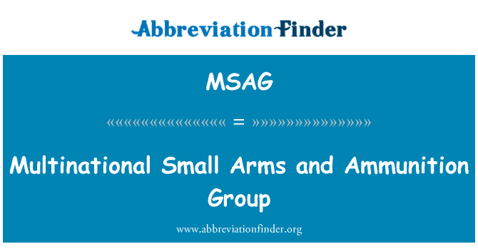 MSAG: Miltinasyonal ti zam ak minisyon gwoup
