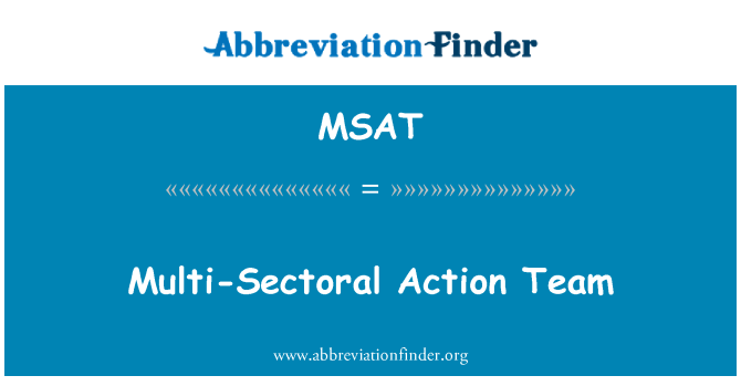MSAT: Multi-Sectoral Action Team