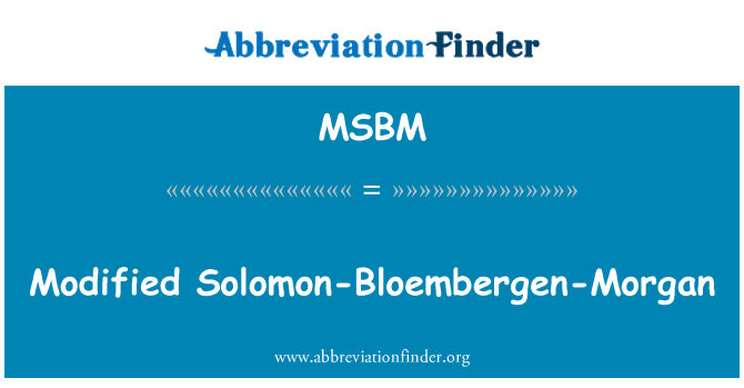 MSBM: ששונה סולומון-Bloembergen-מורגן