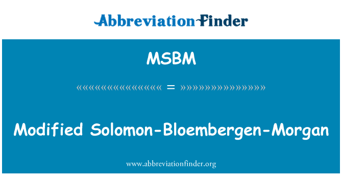 MSBM: Modifikuotų Saliamono-Bloembergen-Morgan