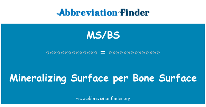 MS/BS: 成矿每骨表面的表面