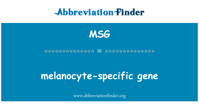 MSG: melanocytů specifický gen