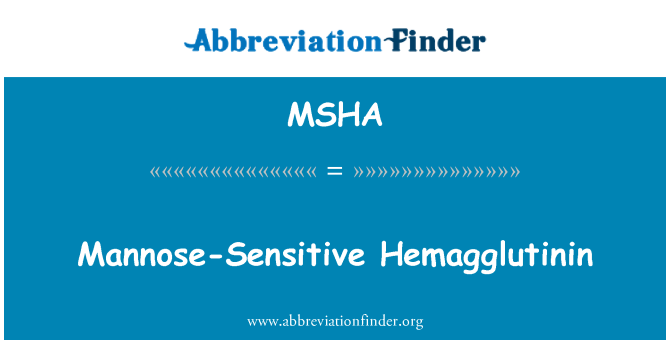 MSHA: ماننوسی حساس ہیمگلوٹنان