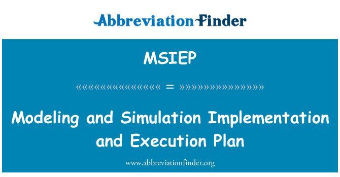 MSIEP: Modeling and Simulation Implementation and Execution Plan