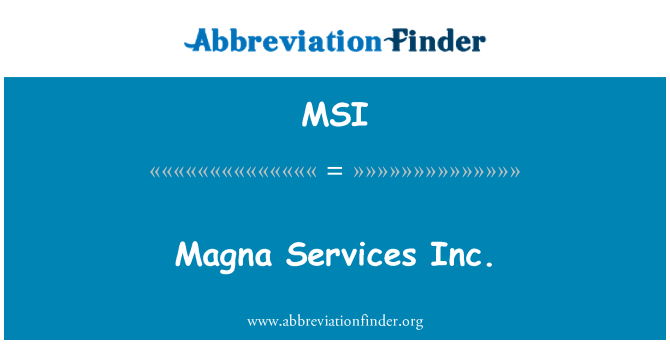 MSI: Magna Services Inc.