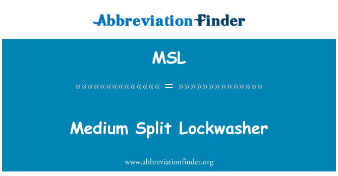 MSL: Keskmise Split Lockwasher