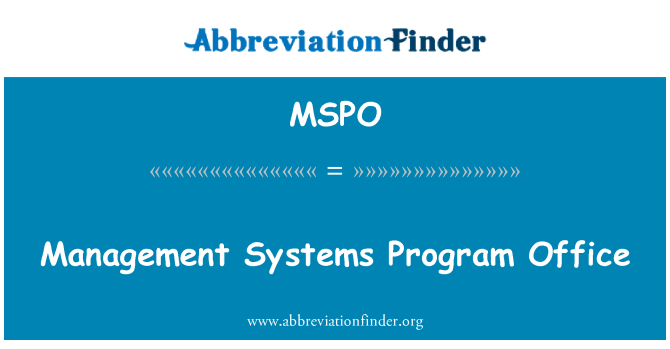 MSPO: Irányítási rendszerek Programiroda