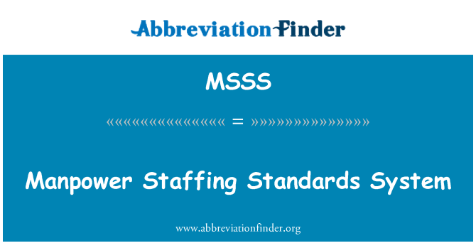 MSSS: 统筹人员编制的标准体系