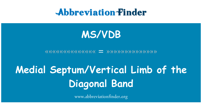 MS/VDB: Limb medika Septum/vertikali ta ' l-istrixxa dijagonali