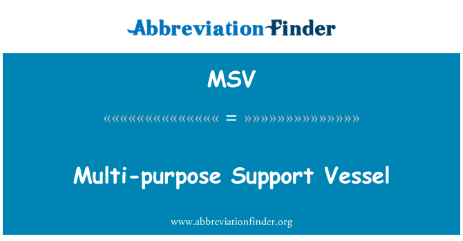 MSV: 多用途护卫舰