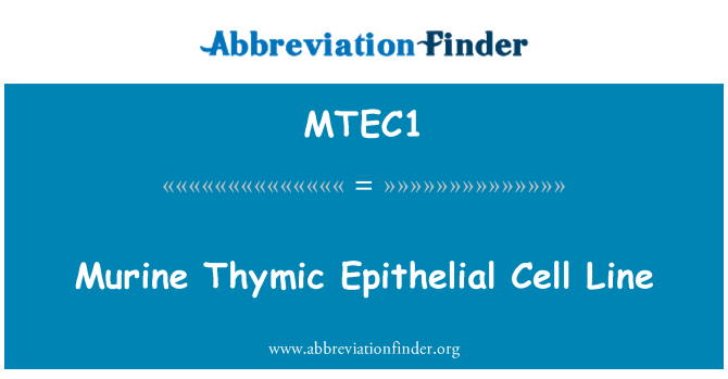MTEC1: Line FRATRICI Thymic epitelijske celice