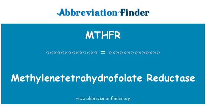 MTHFR: La metilenetetraidrofolato reduttasi