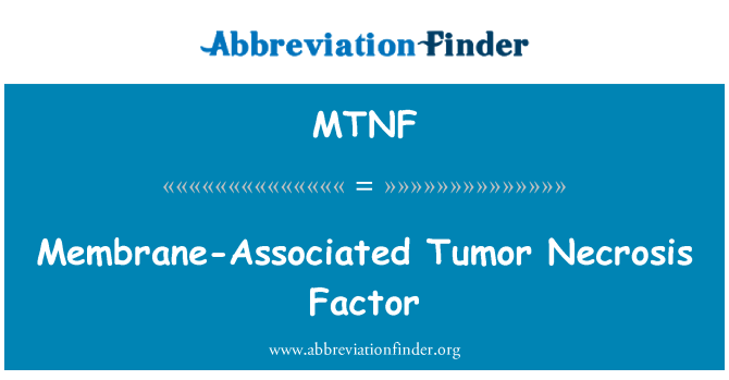 MTNF: Мембранно свързана тумор-некротичен фактор