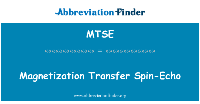 MTSE: מגנוט העברה ספין-הד...