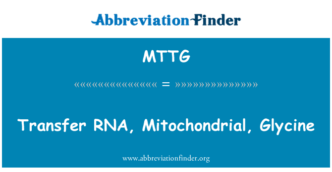 MTTG: РНК, мітохондріальних, гліцин