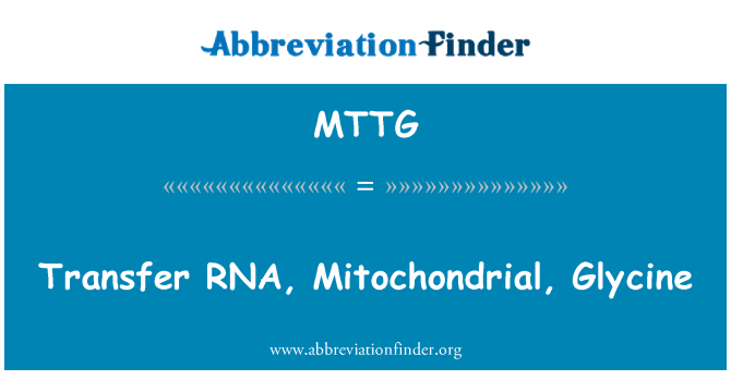 MTTG: ARN de transferencia, mitocondrial, glicina