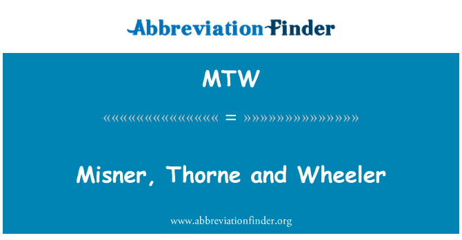 MTW: Misner, Thorne en Wheeler