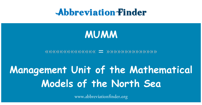 MUMM: Блок управления математических моделей в Северном море