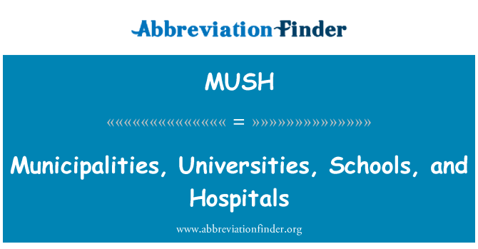 MUSH: Municipalities, Universities, Schools, and Hospitals