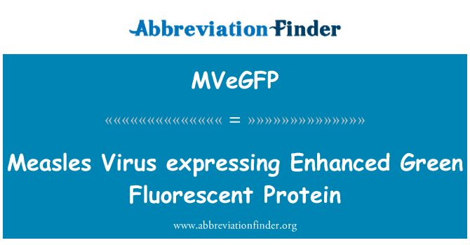 MVeGFP: Virus tal-ħożba li jesprimu mtejba aħdar fluworexxenti tal-proteina