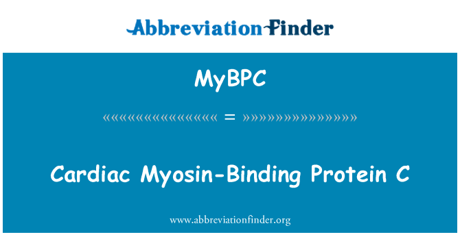 MyBPC: Širdies Myosin neįpareigojantį proteino C