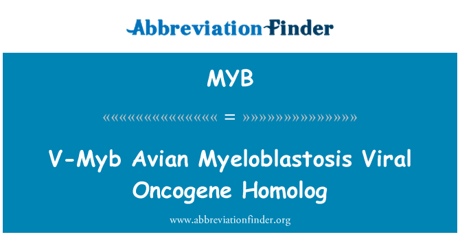 MYB: V-Myb aviär Myeloblastosis virala onkogen Homolog