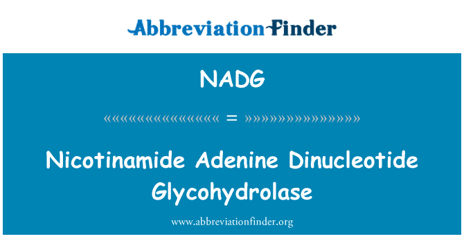 NADG: Nicotinamide Adénine-Glycohydrolase