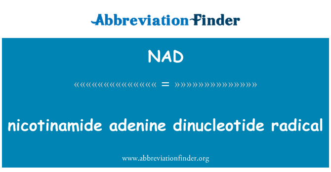 NAD: Nicotinamide adenin dinukleotida radikal