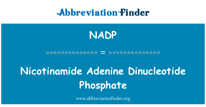 NADP: 니코틴아미드 아데닌 디뉴클레오티드 인산